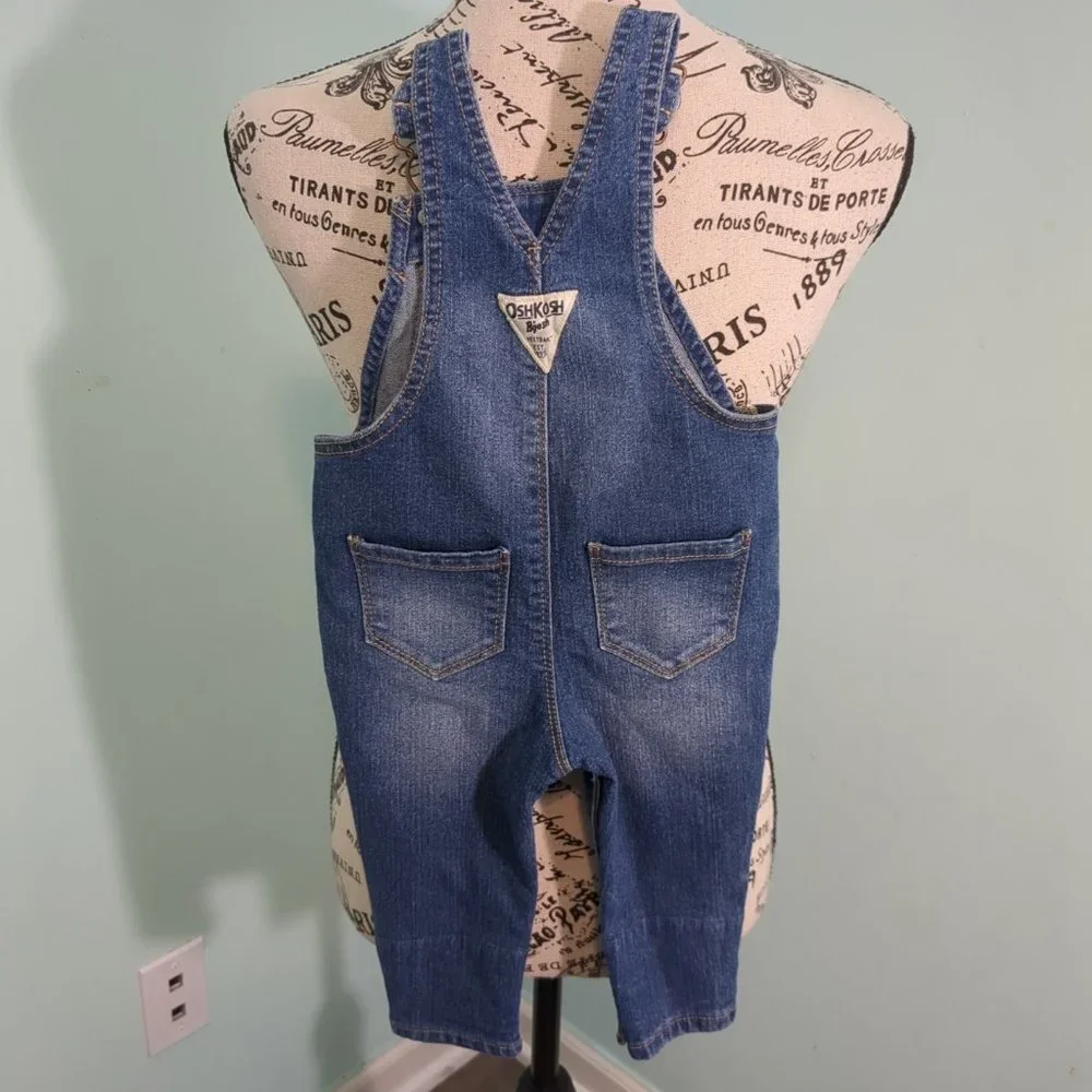 OshKosh Girl Flower Denim Blue Jean Overalls 9 months